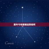 属牛今年婚姻运势如何，今年属牛的运势怎么样？