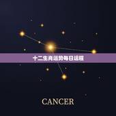 十二生肖运势每日运程，我想知道今年十二生肖每月的运程