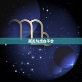 属龙与虎合不合，属龙人和属虎人合财吗