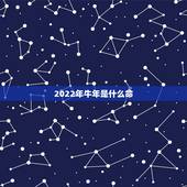 2022年牛年是什么命，2022年虎年是什么命哪月出生好