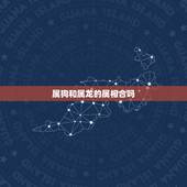 属狗和属龙的属相合吗，男属龙和女属狗真的不能在一起吗？