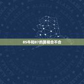 85牛和87的属相合不合，85年属牛的与87年属兔的相克吗？