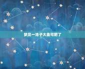 梦见一池子大鱼可肥了，梦到一大池子的鱼，求解梦！