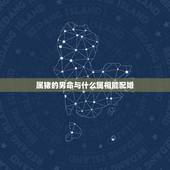 属猪的男命与什么属相能配婚，属相婚配表之属猪的和什么属相最配