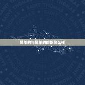 属羊的与属羊的婚姻怎么样，男属羊女属猴的婚姻