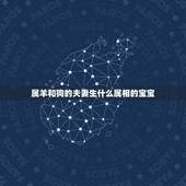 属羊和狗的夫妻生什么属相的宝宝，我属狗老公属羊，我们生个什么属相的宝宝