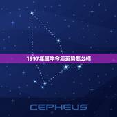 1997年属牛今年运势怎么样，1997年在2022 年的运势如何
