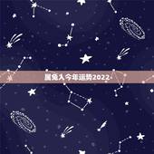 属兔人今年运势2022，属兔的人2023年多大了 今年肖兔人运势好不好