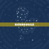 属虎有哪些年份出生，2010年属虎的什么时辰出生最好