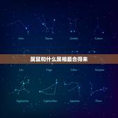 属鼠和什么属相最合得来，属鼠的人婚配属相更好