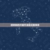招财树的扦插方法和注意事项，招财树的繁殖方法