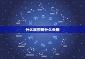 什么属相戴什么天珠，虎牙天珠适合什么人戴