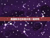 属相配五行水和火在一起好吗，有人说生肖属水与属火的人相冲，不能在一起相