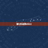 猴5月运势2022，80年属猴男2021年运势每月运势