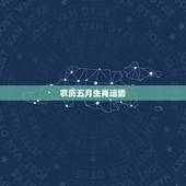 农历五月生肖运势，2016年运势最好的属相兔