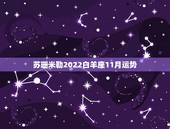 苏珊米勒2022白羊座11月运势，AB型白羊座的运情