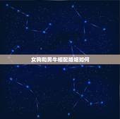 女狗和男牛相配婚姻如何，狗和牛相配婚姻如何