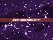 属蛇的和属虎的婚配好不好，属蛇和属虎的相配吗