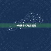 19年属牛人每月运势，属牛人，射手座在十二月份健康运势之2019？