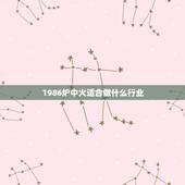 1986炉中火适合做什么行业，86年炉中火命适合做什么生意
