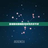 属相猴和猴相配同年同月好不好，属猴的同年同月结婚不好么？会相克么