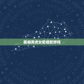 属相男虎女蛇婚配好吗，男属虎，女属蛇能婚配吗？为什么请帮解答。谢谢！