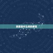 真爱是什么样的感觉，真爱到底是什么样的感觉，或者说什么才是真爱？