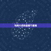 与狗六合的是哪个属相，属狗的和什么属相不和？