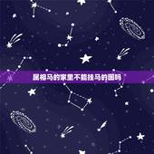 属相马的家里不能挂马的图吗，我和老公都生肖都是鼠。家里能摆设马的摆件吗