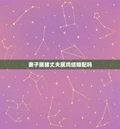 妻子属猪丈夫属鸡结婚配吗，属猪女人和属鸡男人在一起配不配？