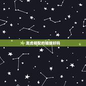 龙虎相配的姻缘好吗，龙虎相配的姻缘好吗