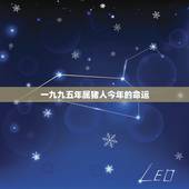 一九九五年属猪人今年的命运，1995属猪的三大坎