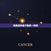 两条招财鱼不能养一块吗，两条母的招财鱼能一起混养吗？