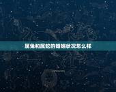 属兔和属蛇的婚姻状况怎么样，属兔的和属蛇的结婚，当天忌讳什么属相