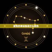 属兔的幸运色是什么颜色，2022 年属兔人穿什么颜色最旺