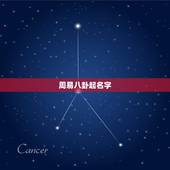 周易八卦起名字，周易八卦免费起名