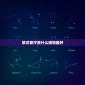 欧式客厅放什么植物最好，欧式大花客厅怎样装修效果图