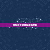 属狗男士和鼠属相婚配好，男属狗和女属鼠相配婚姻如何？