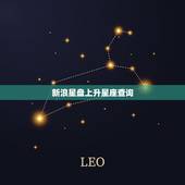 新浪星盘上升星座查询，怎么查询上升星座？