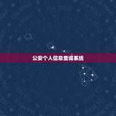 公安个人信息查询系统，公安网怎么查个人信息？