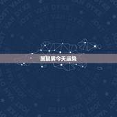 属鼠男今天运势，属鼠的明天的运势