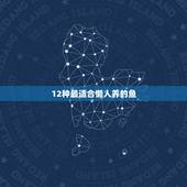 12种最适合懒人养的鱼，适合家里养的鱼有哪些