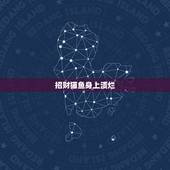招财猫鱼身上溃烂，招财猫鱼烂肉很严重怎么办