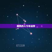 属鸡的人今年运势，81属鸡人的灾难年龄39岁