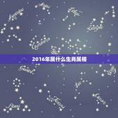 2016年属什么生肖属相，2016年是什么生肖年