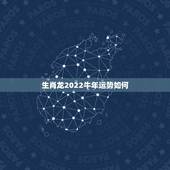 生肖龙2022牛年运势如何，鼠年属马的运势怎么样
