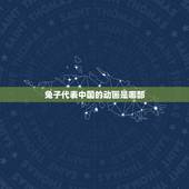 兔子代表中国的动画是哪部，中国兔子什么梗动画片