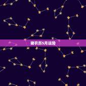 猪农历5月运势，2o16年属猪农历5月出生的运势