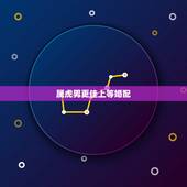 属虎男更佳上等婚配，男属虎找什么属相好