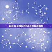 农历12月兔与农历6月龙是否婚配，农历12月兔和8月龙年